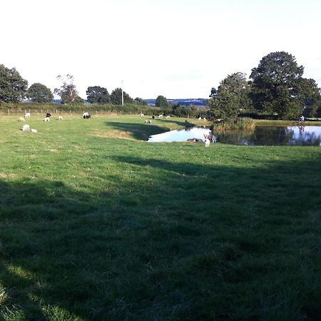 Crich Lane Farm Bed and Breakfast Alfreton Exteriör bild