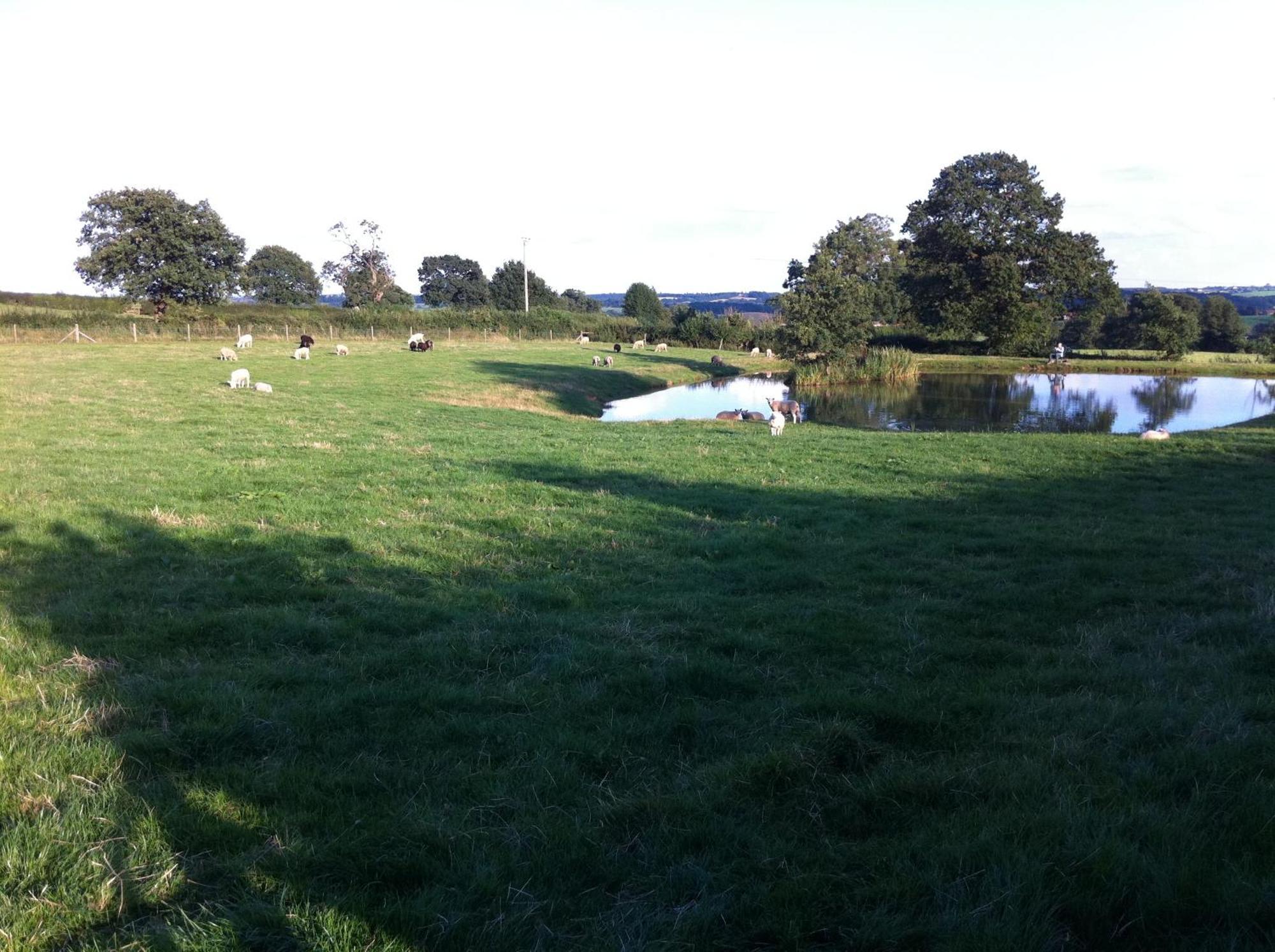 Crich Lane Farm Bed and Breakfast Alfreton Exteriör bild